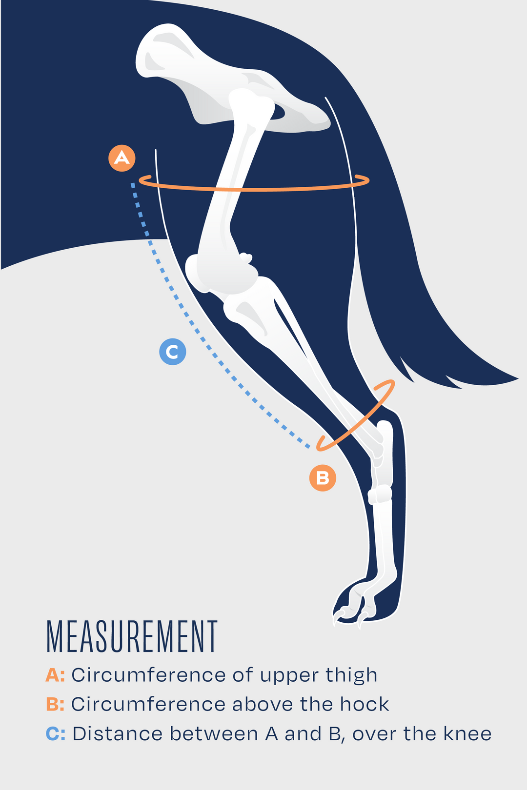 Balto® Jump – Knee Brace