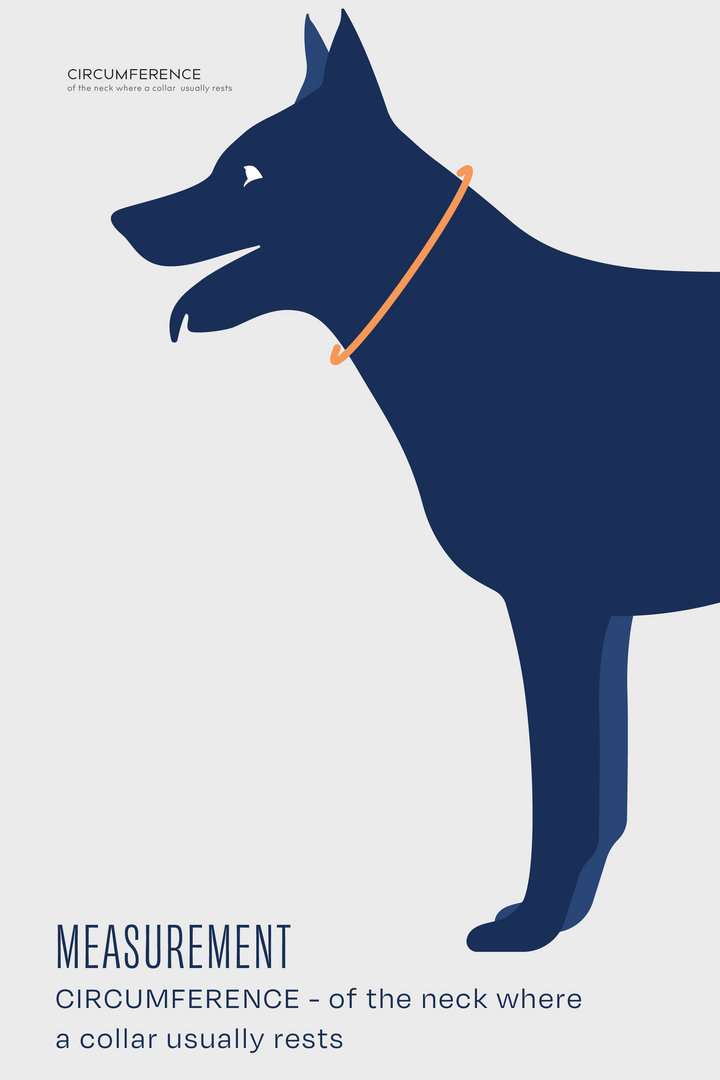 Balto® Neck Eco – E-Collar Alternative