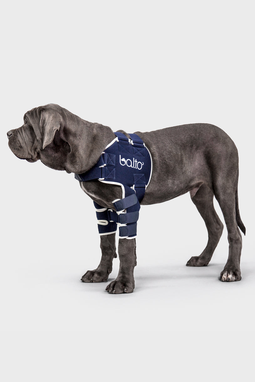 Canine Double Shoulder Compression Brace Balto Canada