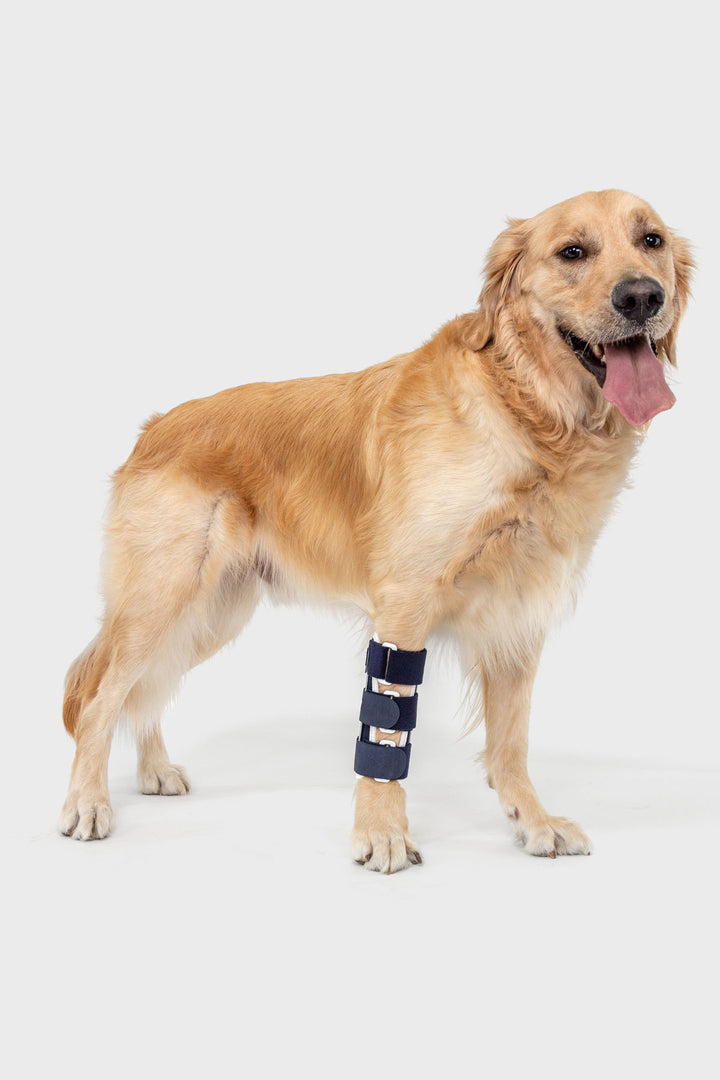 Balto® Bone – Fracture Brace