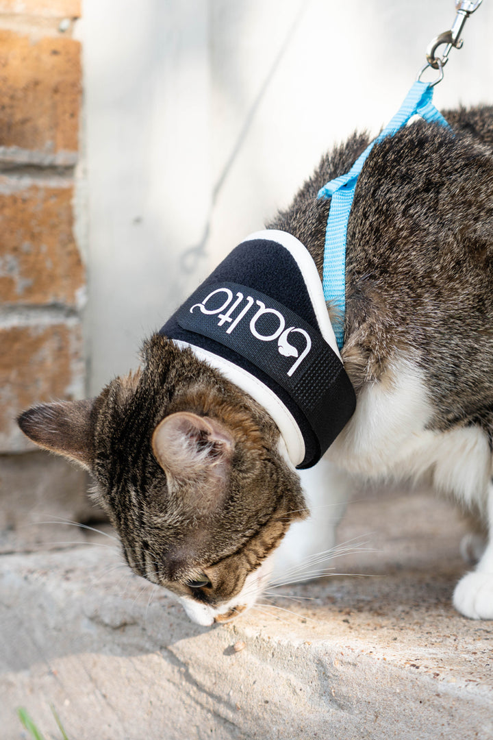 Balto® Neck Eco Cat – E-Collar Alternative for Felines