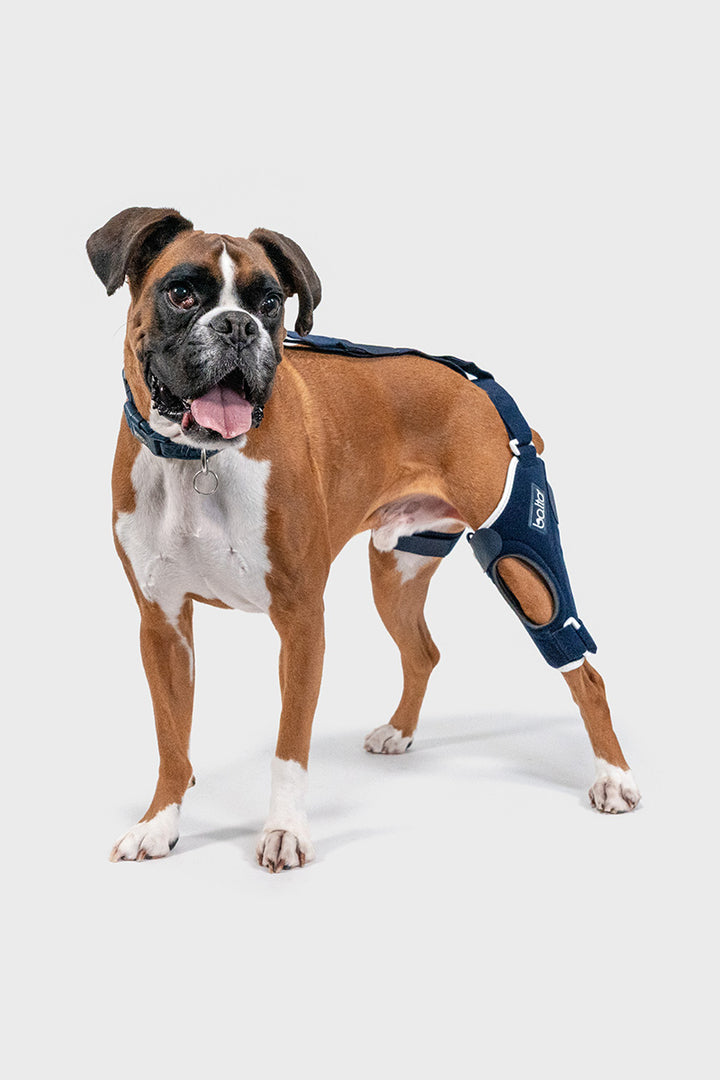 Balto® Jump – Knee Brace