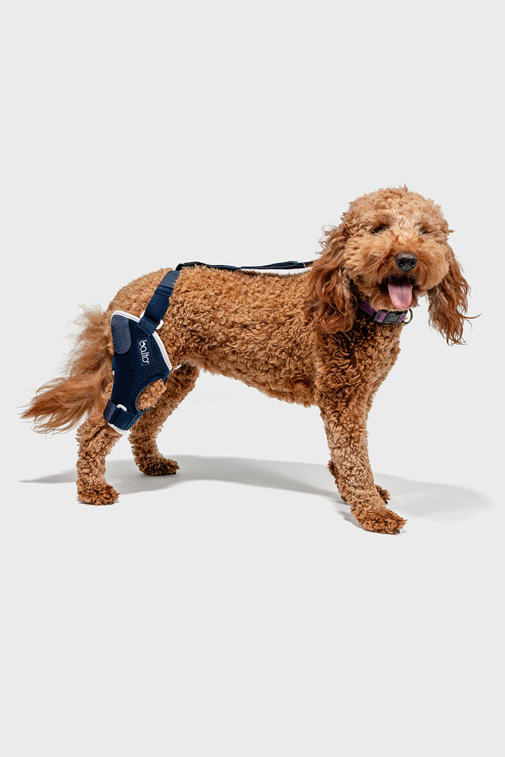 Balto® Jump – Knee Brace