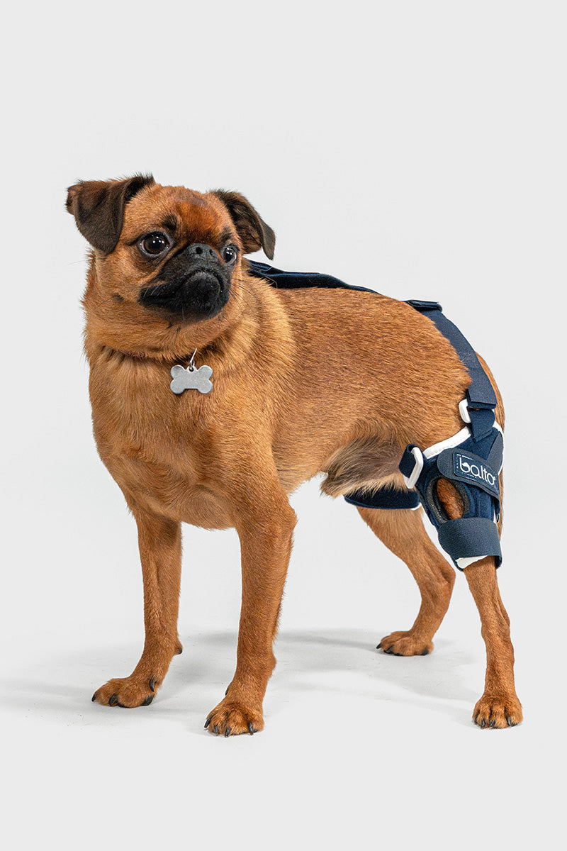 Balto® Jump – Knee Brace