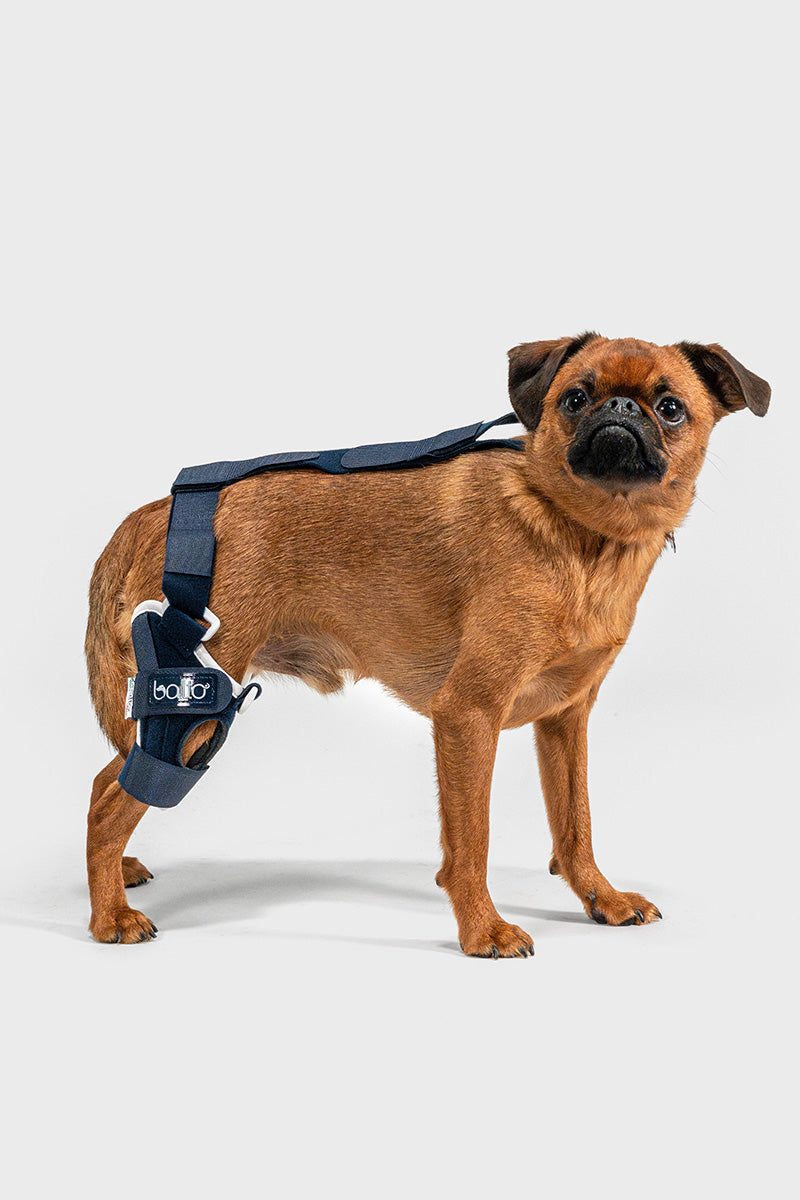 Balto® Jump – Knee Brace