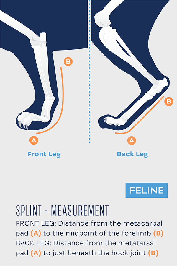 Balto® Splint Cat – Attelle de laxité carpienne/tarsienne pour chats