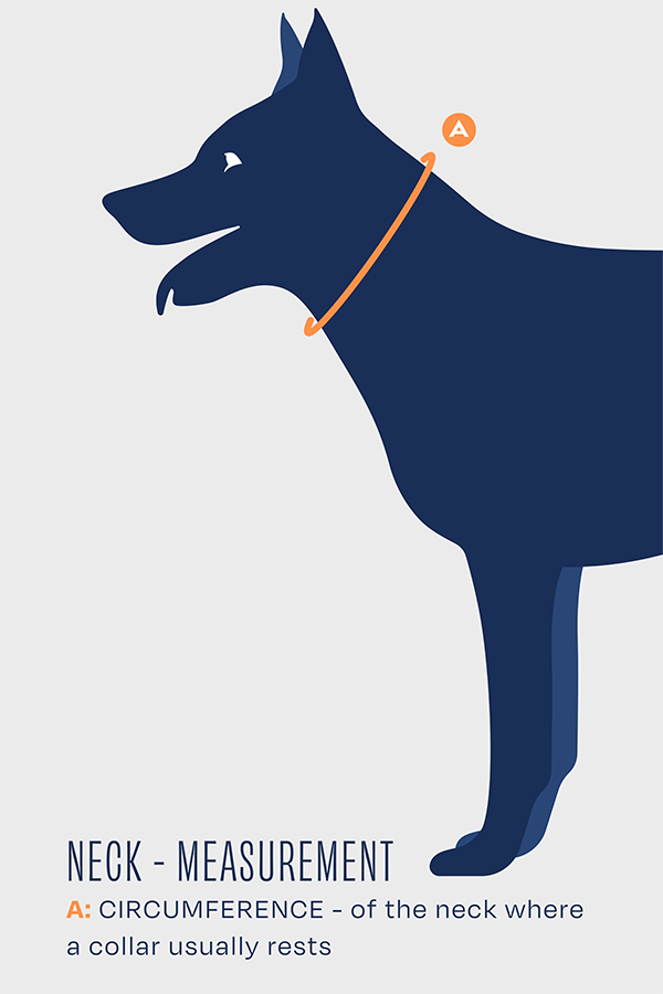 Balto® Neck Eco – E-Collar Alternative