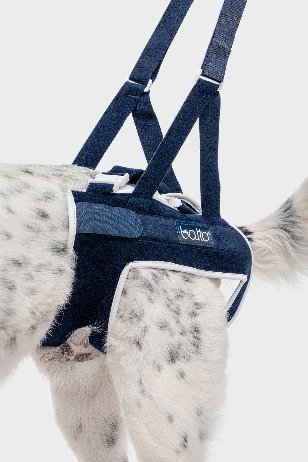 balto canada up hip brace for canines close up view detail of brace