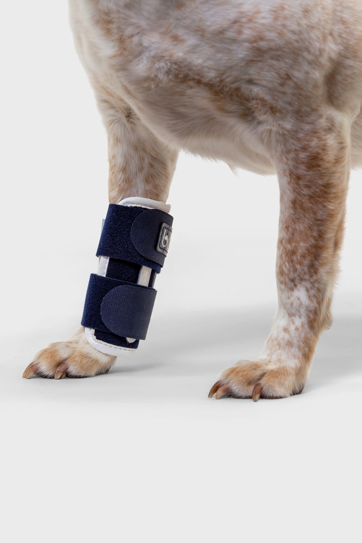 Balto® Joint – Carpal Compression Band