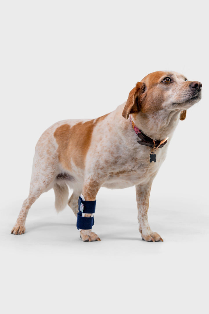 Balto® Joint – Carpal Compression Band