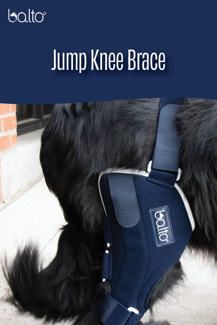 balto jump overview video