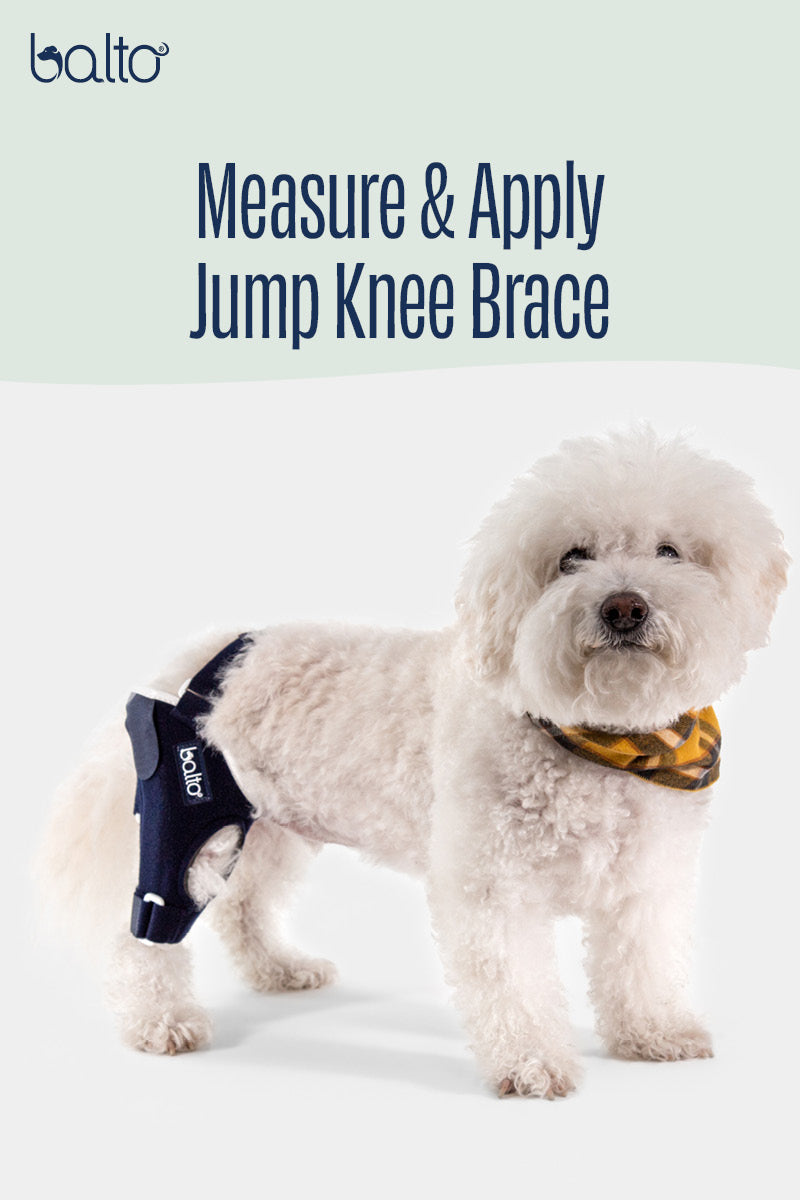 Balto® Jump – Knee Brace