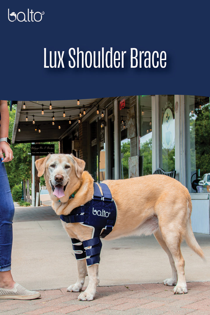 balto lux shoulder brace overview video