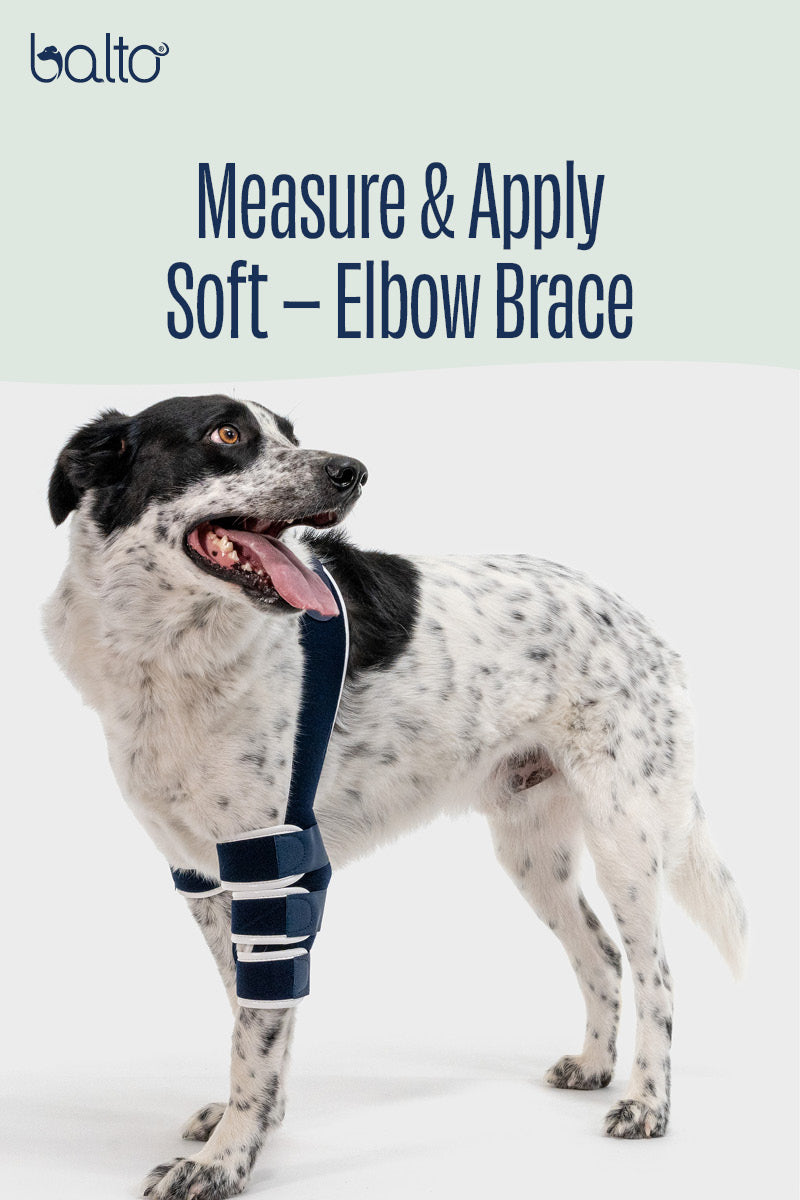 Balto® Soft – Elbow Brace
