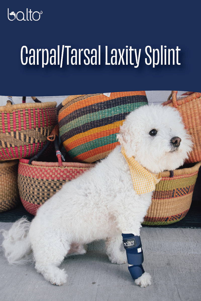 Balto® Splint – Carpal/Metatarsal Laxity Splint