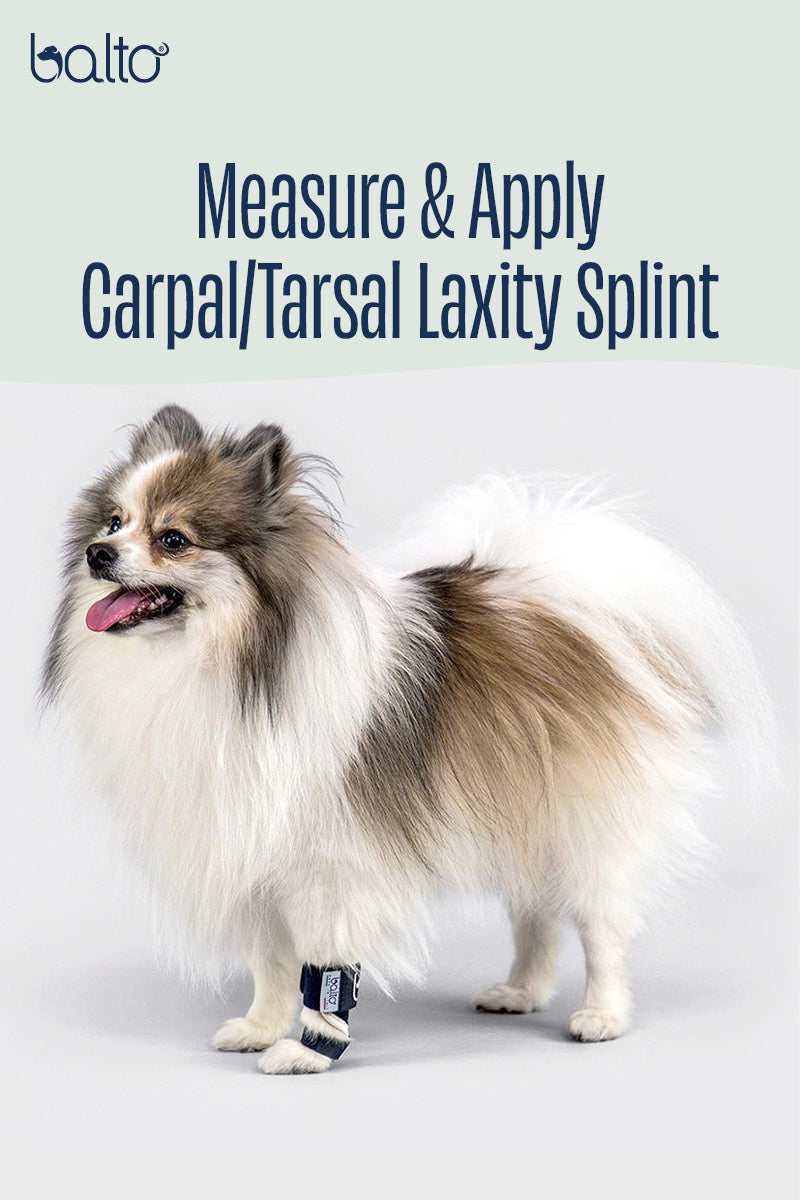 Balto® Splint – Carpal/Metatarsal Laxity Splint