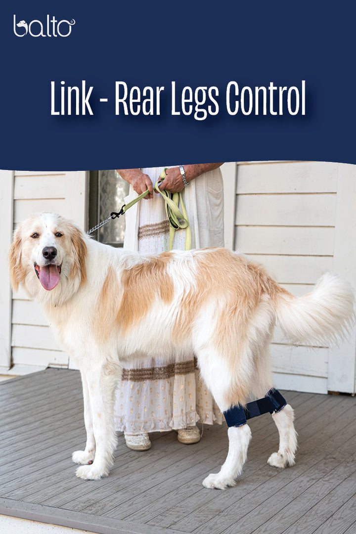 Balto® Link - Rear Legs Control 