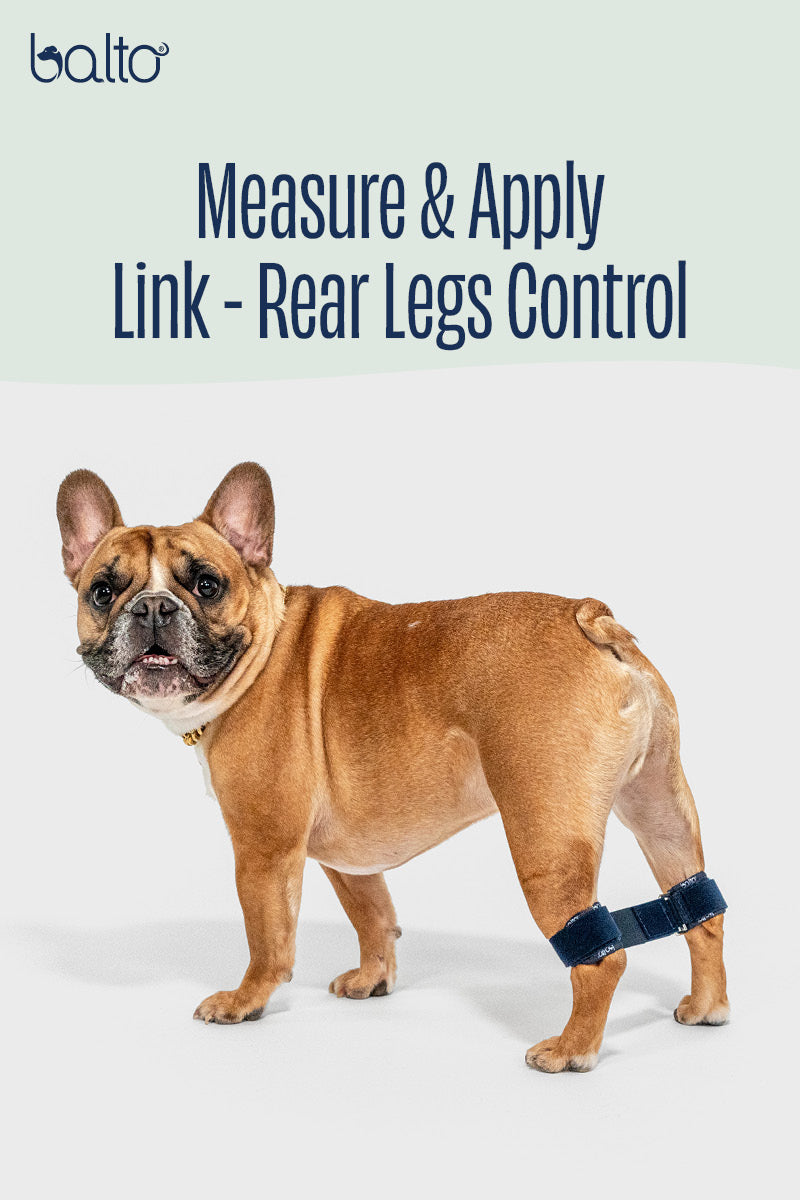Balto® Link - Rear Legs Control 