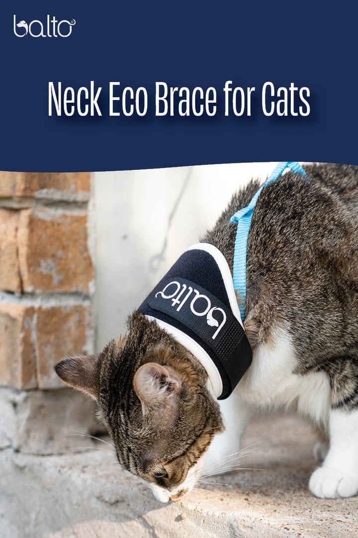 Balto® Neck Eco Cat – E-Collar Alternative for Felines