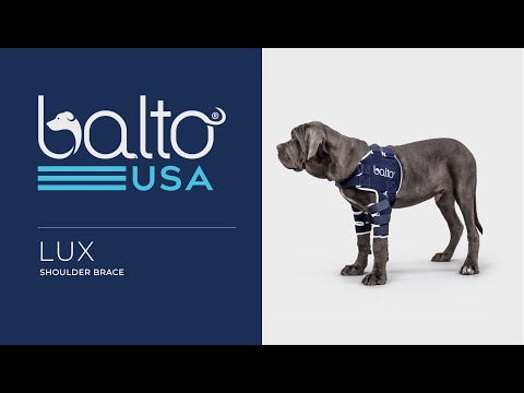 Balto dog hot sale shoulder brace