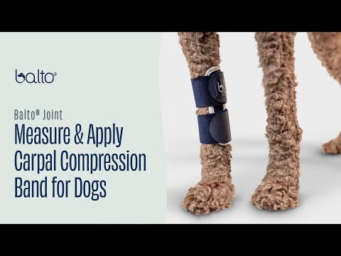 Balto® Joint – Carpal Compression Band