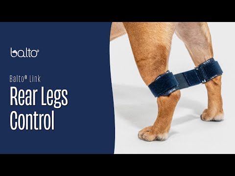 Balto® Link - Rear Legs Control 