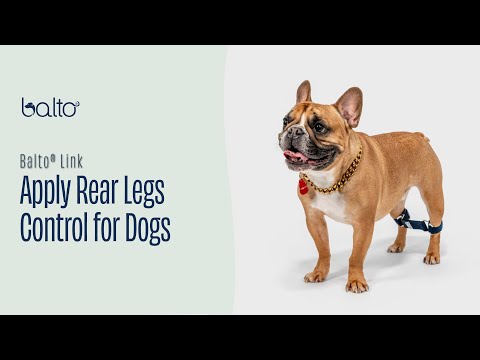 Balto® Link - Rear Legs Control 