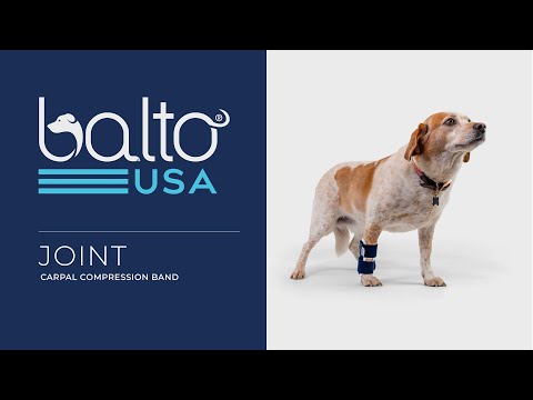 balto brace joint overview